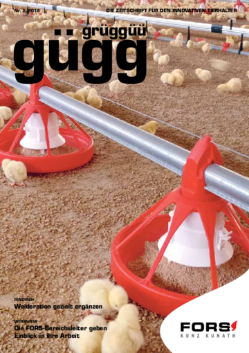 Gügg Grüggüü Ausgabe 2. 2018