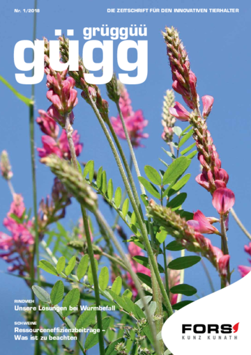 Gügg Grüggüü Ausgabe 1. 2018